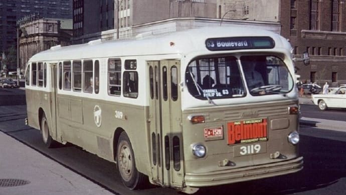 These Were Even More Rare Beauties. Disappeared After I turned 14. 😀🥰🤎🚌🚍🚏