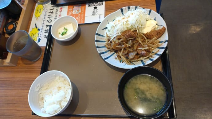 やよい軒で昼食。