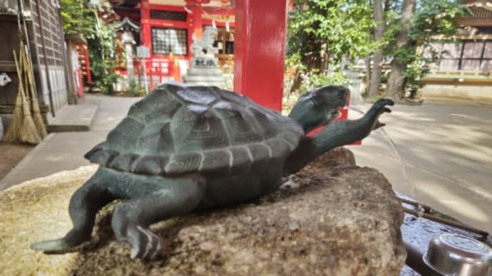 梅満開