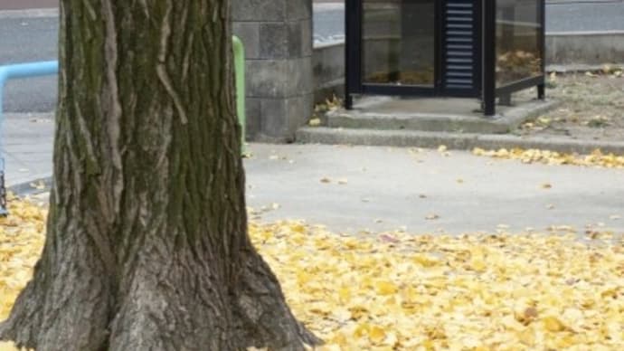 a park