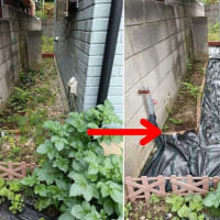 奥の細道に除草シート　　　19木