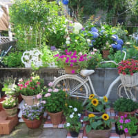 ２０２５．０６．１６　今日のブログ