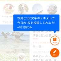 【iOS/Androidアプリ】【追記】「今日の1枚」機能をリリースしました